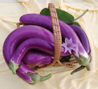 Growing Eggplants, the King of Vegetables Image